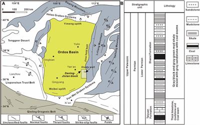Microstructure and heterogeneity of coal-bearing organic shale in the southeast Ordos Basin, China: Implications for shale gas storage